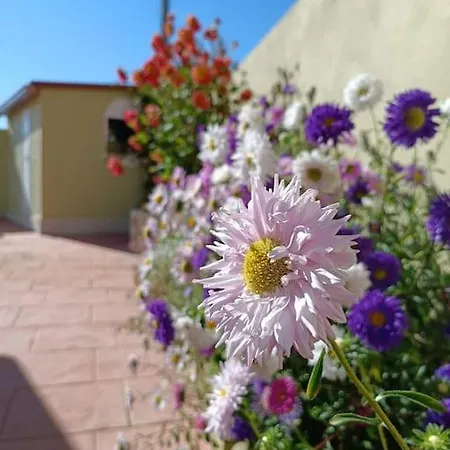 Preciosa Casita A 10 Minutos De La Playa. Villa Cangas do Morrazo Exterior photo